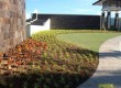Looking for a beautiful resort subdivision in Davao? Check out Amiya!