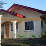 Trinidad is a beautifully designed Davao house for sale and for construction. Can be through Pag-ibig housing.