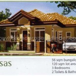 rosas-villa-senorita Villa Senorita is a low cost housing in Davao City