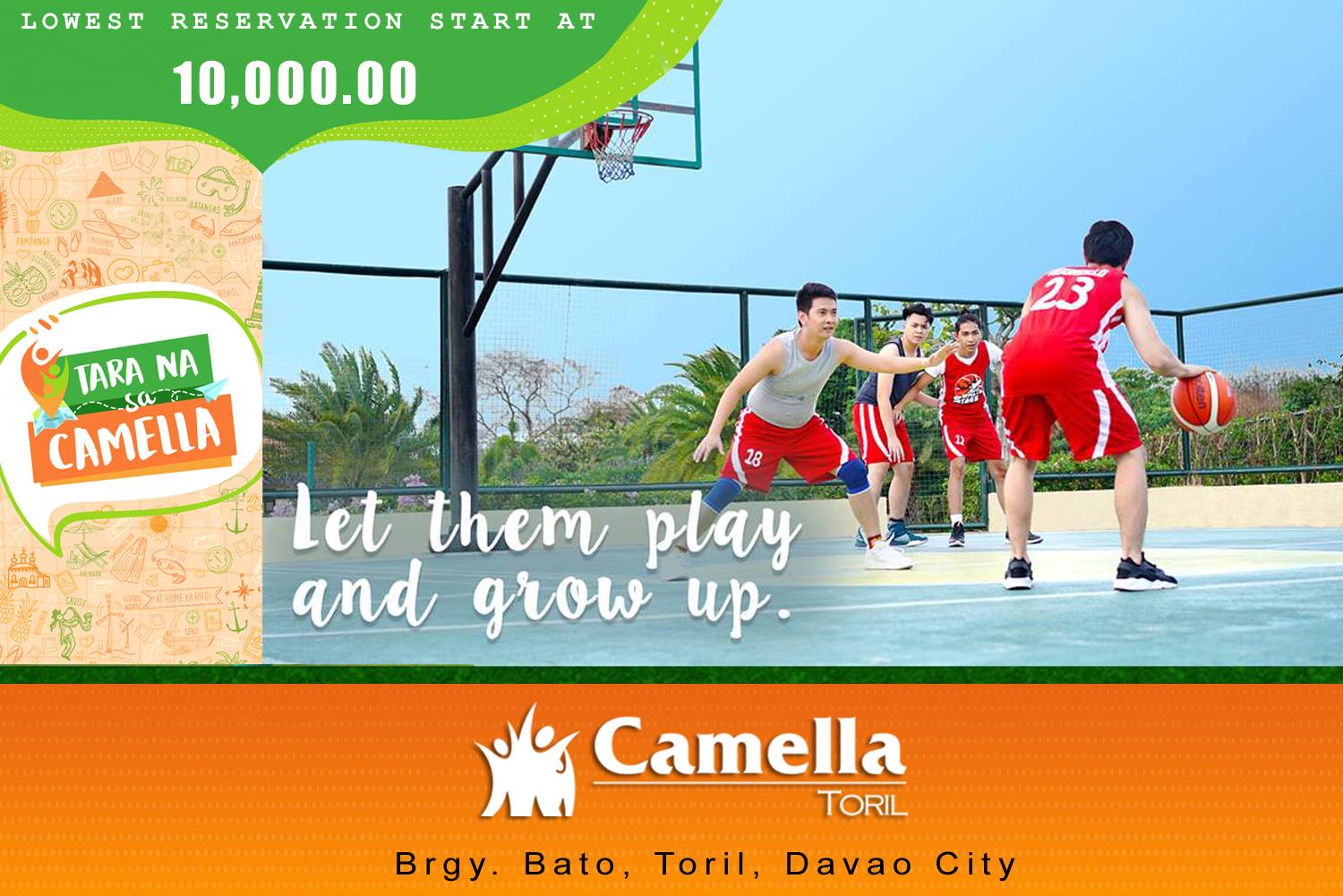 camella toril